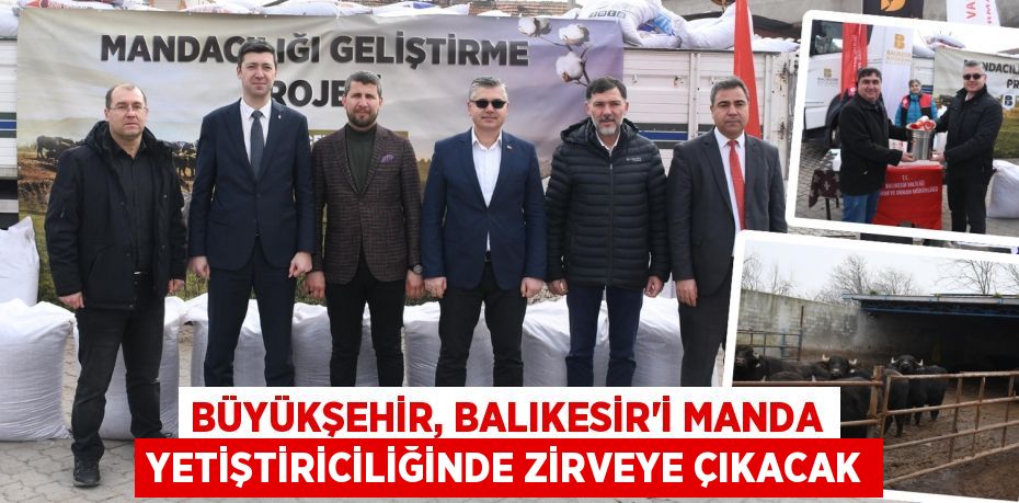 Büyükşehir, Balıkesir’i manda yetiştiriciliğinde zirveye çıkacak