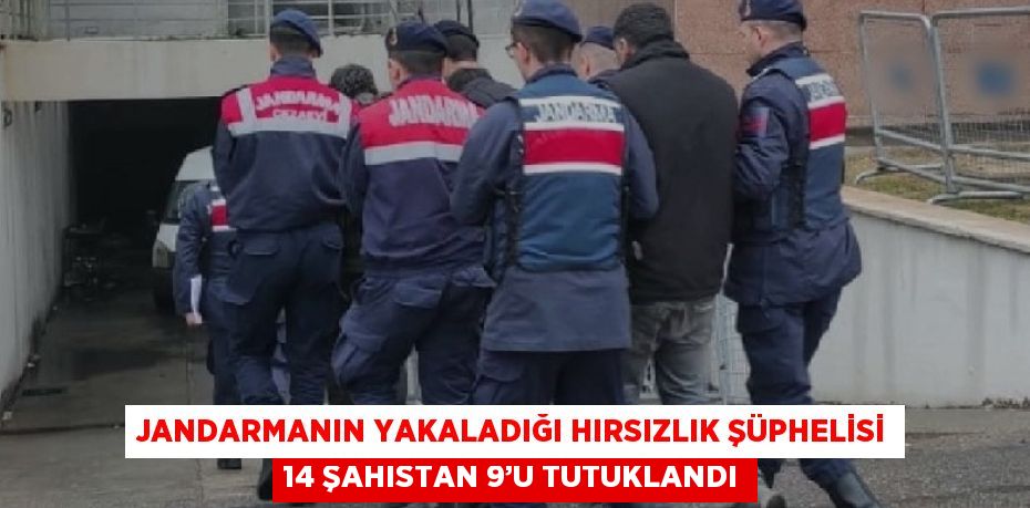 JANDARMANIN YAKALADIĞI HIRSIZLIK ŞÜPHELİSİ 14 ŞAHISTAN 9’U TUTUKLANDI