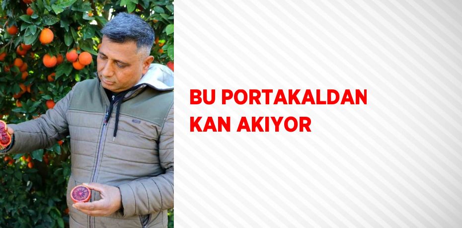 BU PORTAKALDAN KAN AKIYOR