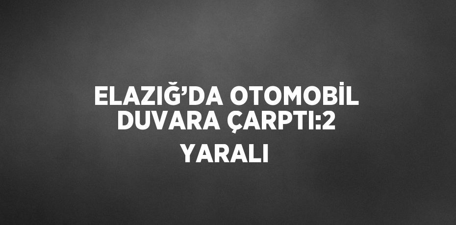 ELAZIĞ’DA OTOMOBİL DUVARA ÇARPTI:2 YARALI