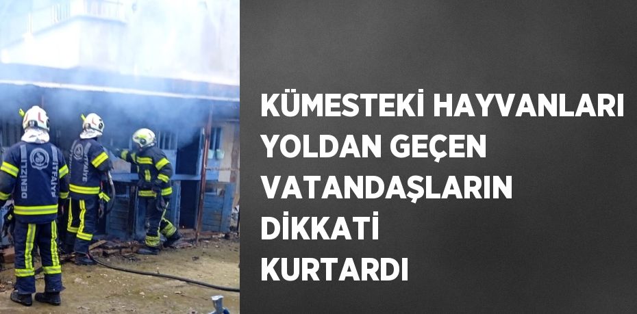 KÜMESTEKİ HAYVANLARI YOLDAN GEÇEN VATANDAŞLARIN DİKKATİ KURTARDI