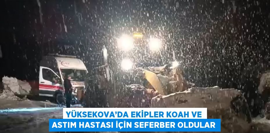 YÜKSEKOVA’DA EKİPLER KOAH VE ASTIM HASTASI İÇİN SEFERBER OLDULAR