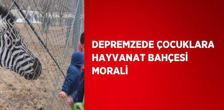 DEPREMZEDE ÇOCUKLARA HAYVANAT BAHÇESİ MORALİ