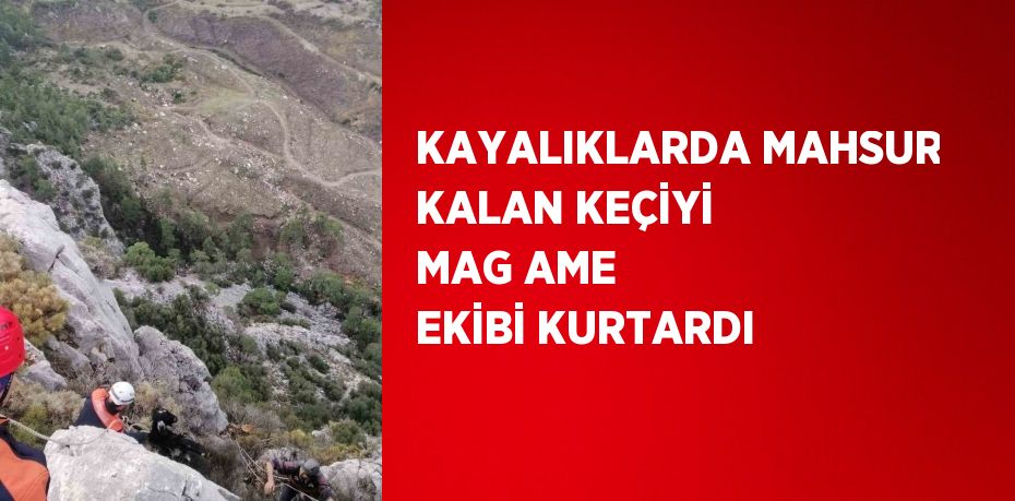 KAYALIKLARDA MAHSUR KALAN KEÇİYİ MAG AME EKİBİ KURTARDI