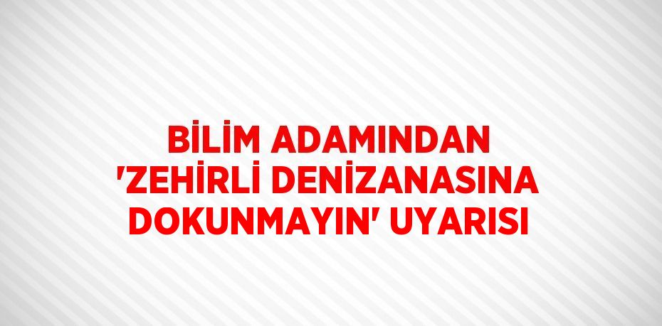 BİLİM ADAMINDAN 'ZEHİRLİ DENİZANASINA DOKUNMAYIN' UYARISI