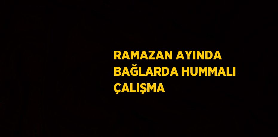 RAMAZAN AYINDA BAĞLARDA HUMMALI ÇALIŞMA