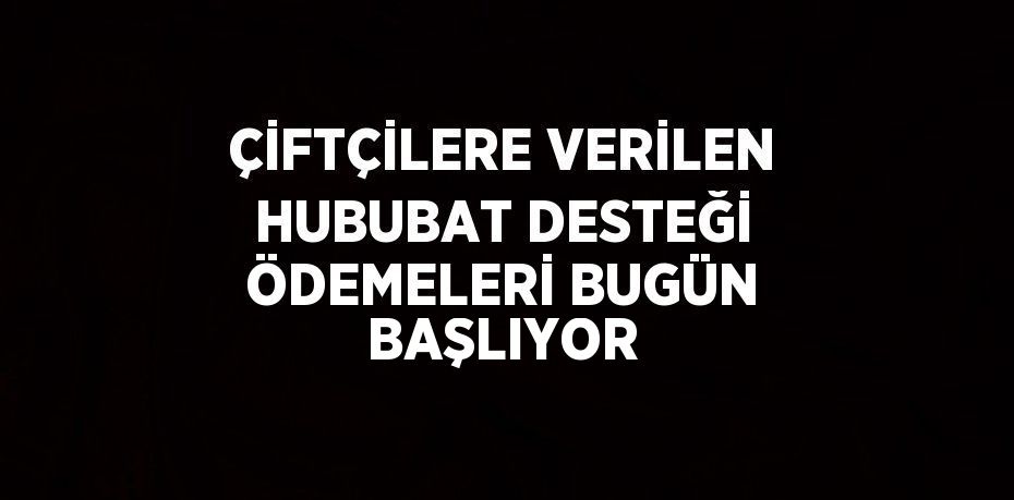 ÇİFTÇİLERE VERİLEN HUBUBAT DESTEĞİ ÖDEMELERİ BUGÜN BAŞLIYOR