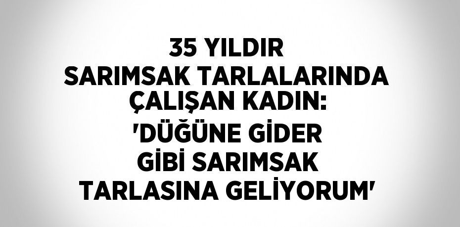 35 YILDIR SARIMSAK TARLALARINDA ÇALIŞAN KADIN: 'DÜĞÜNE GİDER GİBİ SARIMSAK TARLASINA GELİYORUM'