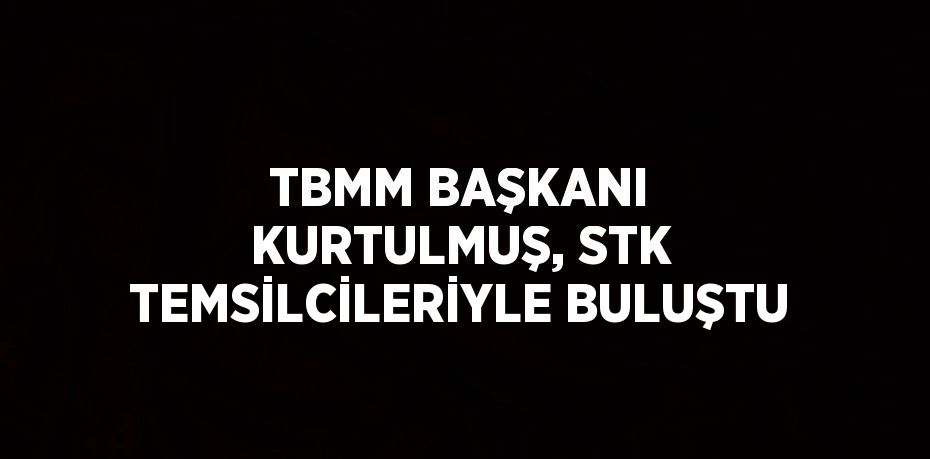 TBMM BAŞKANI KURTULMUŞ, STK TEMSİLCİLERİYLE BULUŞTU
