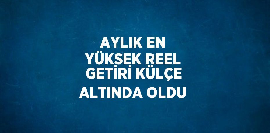 AYLIK EN YÜKSEK REEL GETİRİ KÜLÇE ALTINDA OLDU