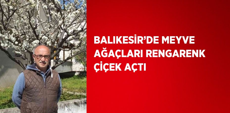 BALIKESİR’DE MEYVE AĞAÇLARI RENGARENK ÇİÇEK AÇTI