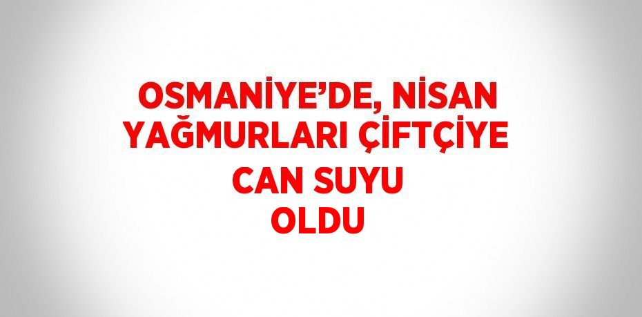 OSMANİYE’DE, NİSAN YAĞMURLARI ÇİFTÇİYE CAN SUYU OLDU