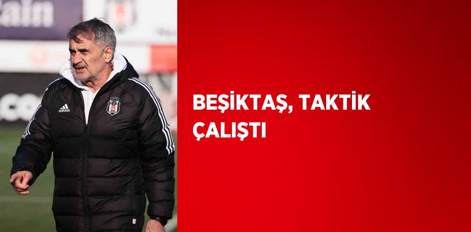 BEŞİKTAŞ, TAKTİK ÇALIŞTI