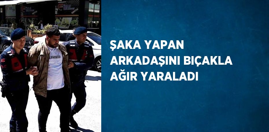 ŞAKA YAPAN ARKADAŞINI BIÇAKLA AĞIR YARALADI
