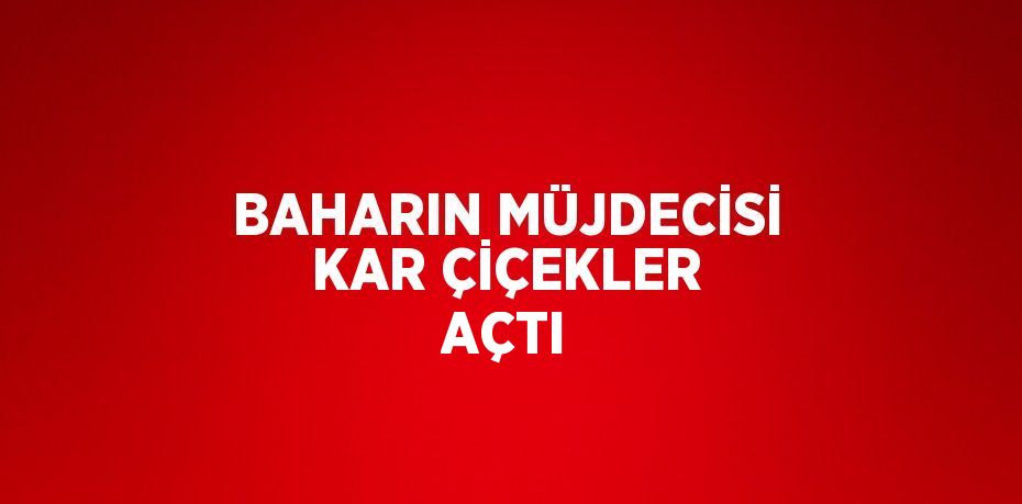 BAHARIN MÜJDECİSİ KAR ÇİÇEKLER AÇTI