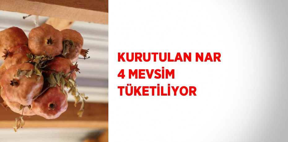 KURUTULAN NAR 4 MEVSİM TÜKETİLİYOR