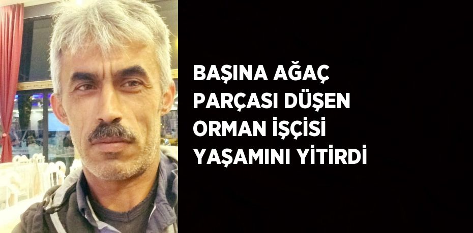 BAŞINA AĞAÇ PARÇASI DÜŞEN ORMAN İŞÇİSİ YAŞAMINI YİTİRDİ
