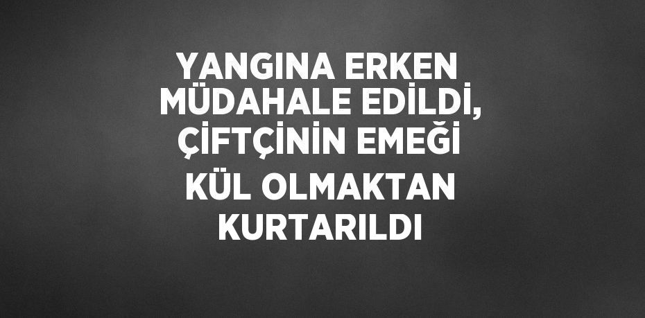 YANGINA ERKEN MÜDAHALE EDİLDİ, ÇİFTÇİNİN EMEĞİ KÜL OLMAKTAN KURTARILDI