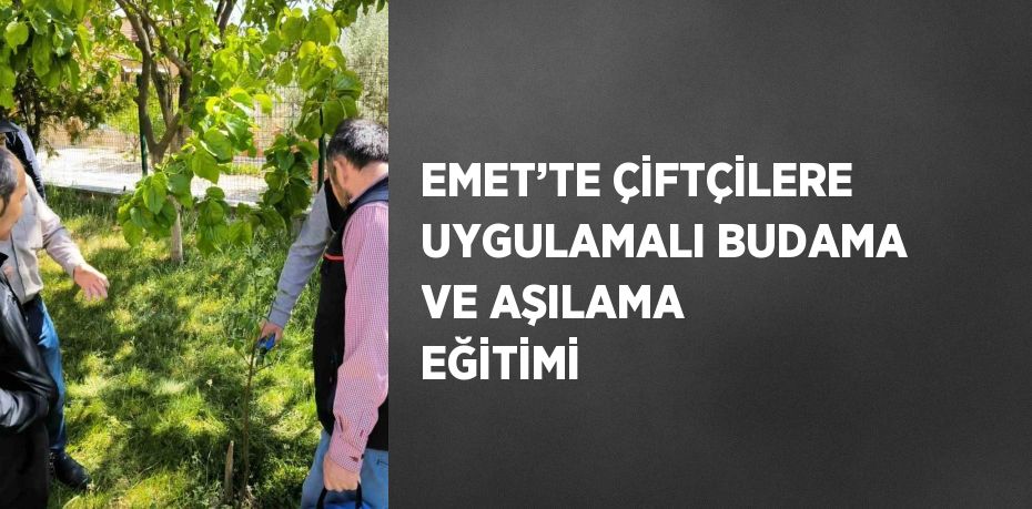 EMET’TE ÇİFTÇİLERE UYGULAMALI BUDAMA VE AŞILAMA EĞİTİMİ