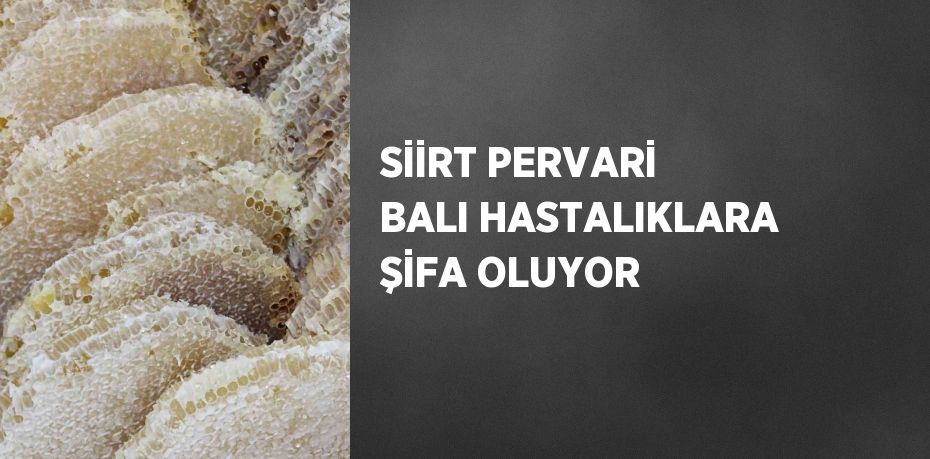 SİİRT PERVARİ BALI HASTALIKLARA ŞİFA OLUYOR