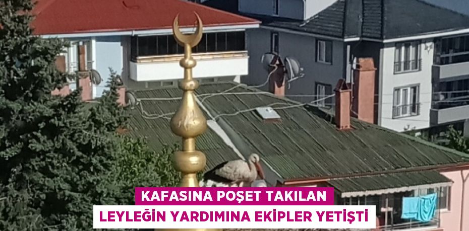 KAFASINA POŞET TAKILAN LEYLEĞİN YARDIMINA EKİPLER YETİŞTİ