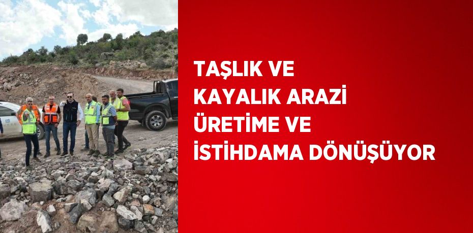 TAŞLIK VE KAYALIK ARAZİ ÜRETİME VE İSTİHDAMA DÖNÜŞÜYOR