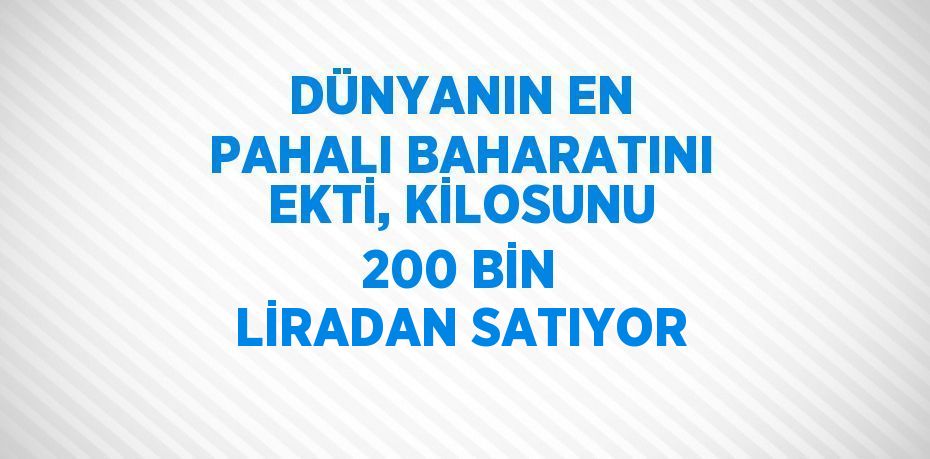 DÜNYANIN EN PAHALI BAHARATINI EKTİ, KİLOSUNU 200 BİN LİRADAN SATIYOR