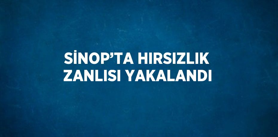 SİNOP’TA HIRSIZLIK ZANLISI YAKALANDI