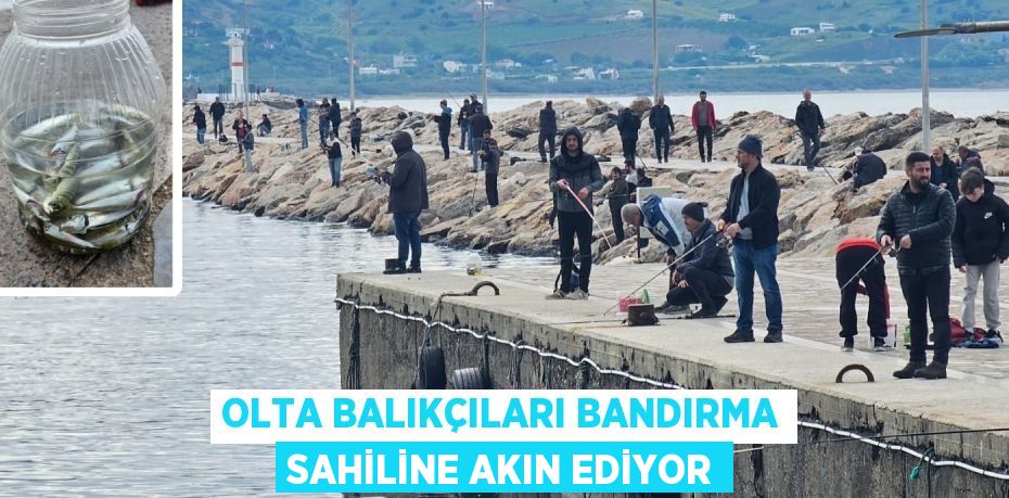 OLTA BALIKÇILARI BANDIRMA SAHİLİNE AKIN EDİYOR