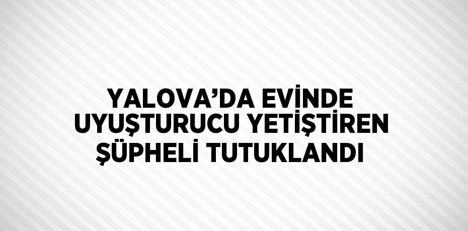 YALOVA’DA EVİNDE UYUŞTURUCU YETİŞTİREN ŞÜPHELİ TUTUKLANDI