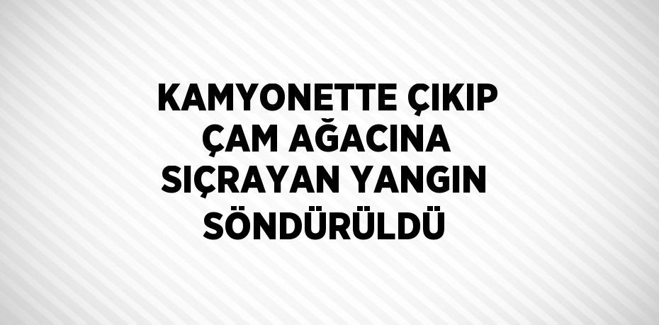 KAMYONETTE ÇIKIP ÇAM AĞACINA SIÇRAYAN YANGIN SÖNDÜRÜLDÜ