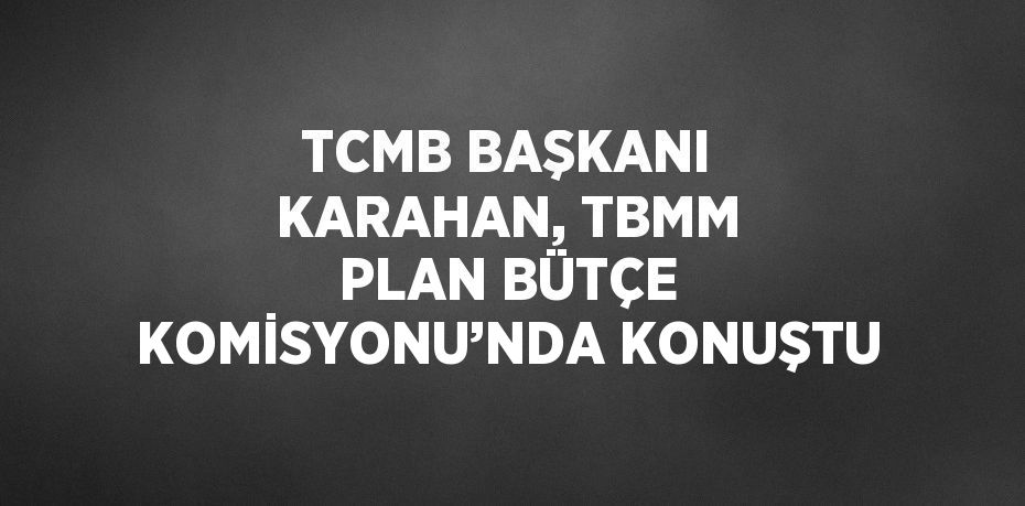 TCMB BAŞKANI KARAHAN, TBMM PLAN BÜTÇE KOMİSYONU’NDA KONUŞTU