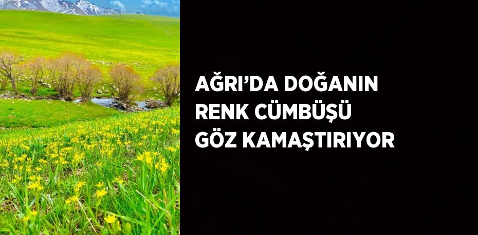 AĞRI’DA DOĞANIN RENK CÜMBÜŞÜ GÖZ KAMAŞTIRIYOR