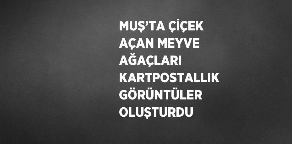 MUŞ’TA ÇİÇEK AÇAN MEYVE AĞAÇLARI KARTPOSTALLIK GÖRÜNTÜLER OLUŞTURDU
