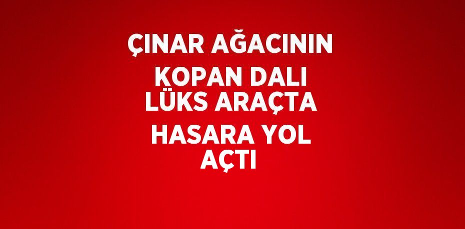 ÇINAR AĞACININ KOPAN DALI LÜKS ARAÇTA HASARA YOL AÇTI