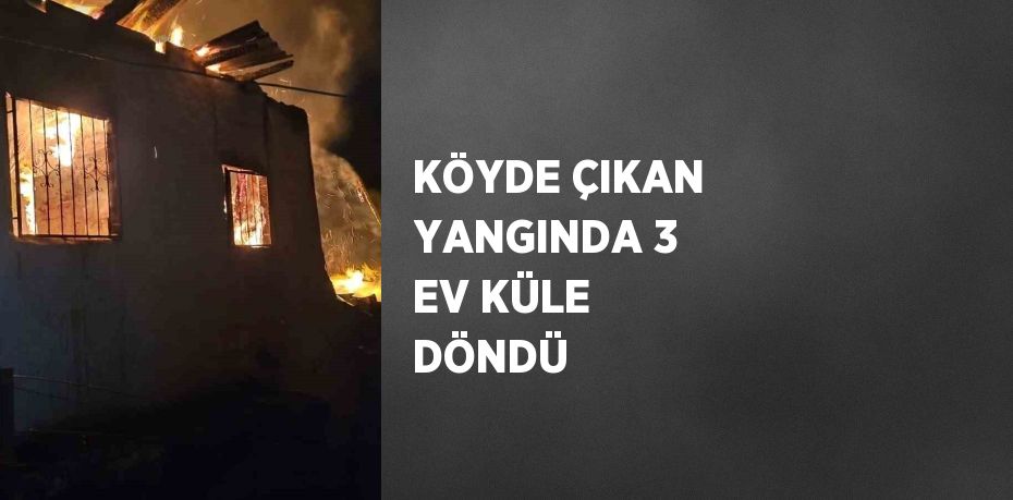 KÖYDE ÇIKAN YANGINDA 3 EV KÜLE DÖNDÜ