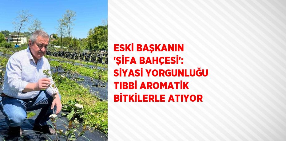 ESKİ BAŞKANIN 'ŞİFA BAHÇESİ': SİYASİ YORGUNLUĞU TIBBİ AROMATİK BİTKİLERLE ATIYOR