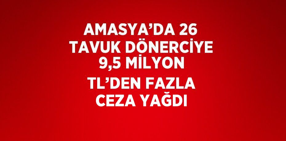 AMASYA’DA 26 TAVUK DÖNERCİYE 9,5 MİLYON TL’DEN FAZLA CEZA YAĞDI