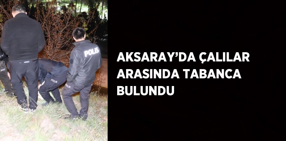 AKSARAY’DA ÇALILAR ARASINDA TABANCA BULUNDU