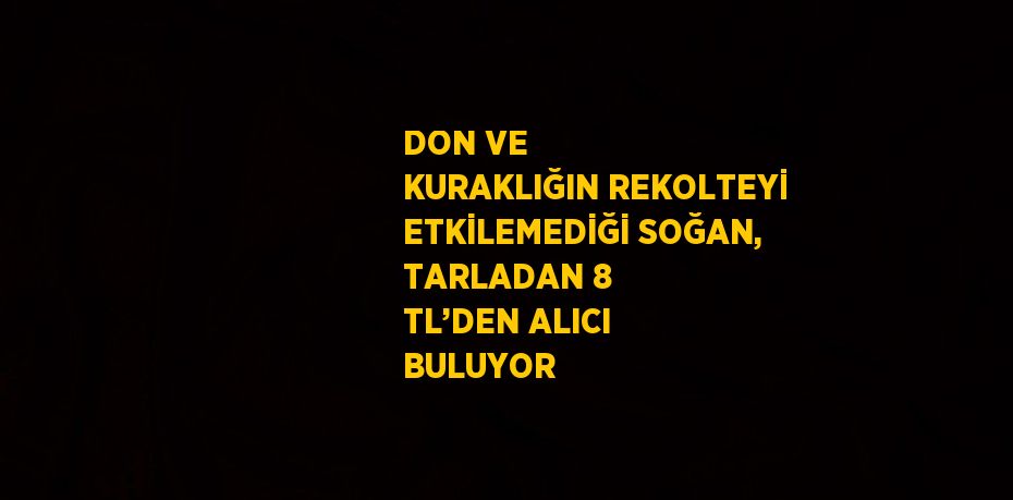 DON VE KURAKLIĞIN REKOLTEYİ ETKİLEMEDİĞİ SOĞAN, TARLADAN 8 TL’DEN ALICI BULUYOR