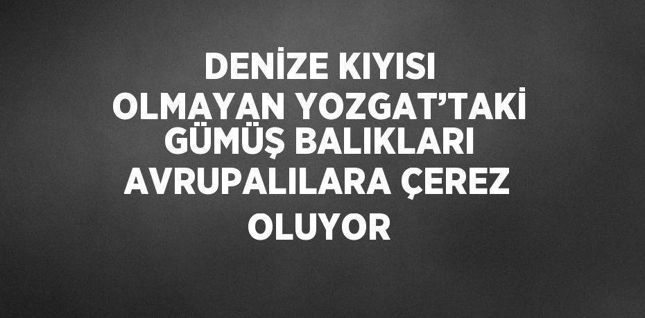 DENİZE KIYISI OLMAYAN YOZGAT’TAKİ GÜMÜŞ BALIKLARI AVRUPALILARA ÇEREZ OLUYOR