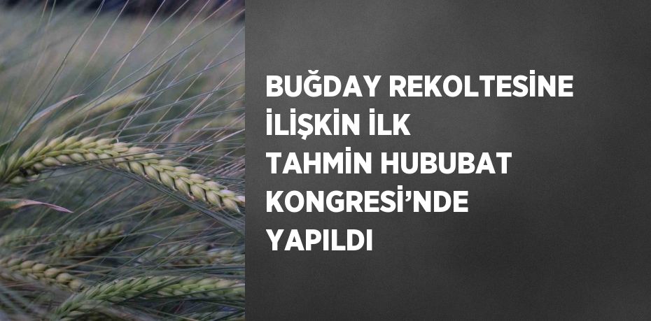 BUĞDAY REKOLTESİNE İLİŞKİN İLK TAHMİN HUBUBAT KONGRESİ’NDE YAPILDI