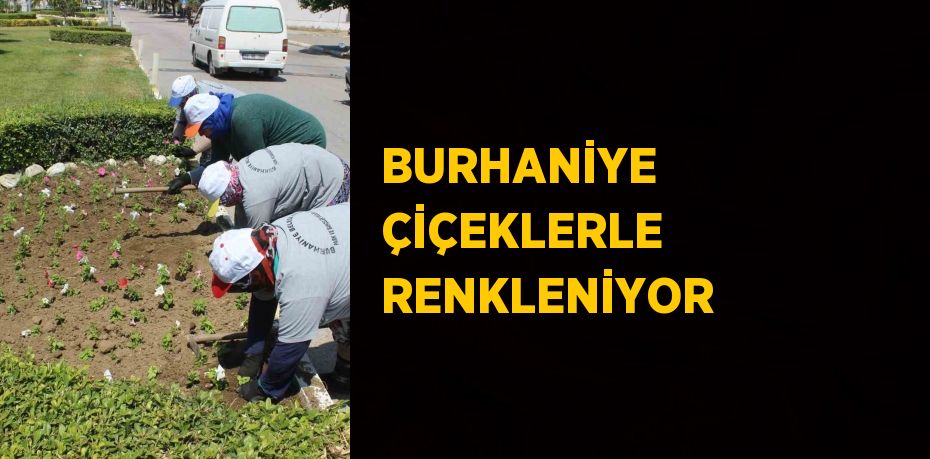 BURHANİYE ÇİÇEKLERLE RENKLENİYOR