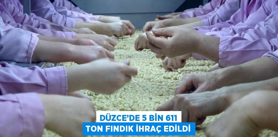 DÜZCE’DE 5 BİN 611 TON FINDIK İHRAÇ EDİLDİ