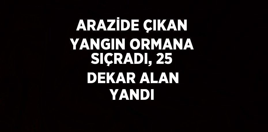 ARAZİDE ÇIKAN YANGIN ORMANA SIÇRADI, 25 DEKAR ALAN YANDI