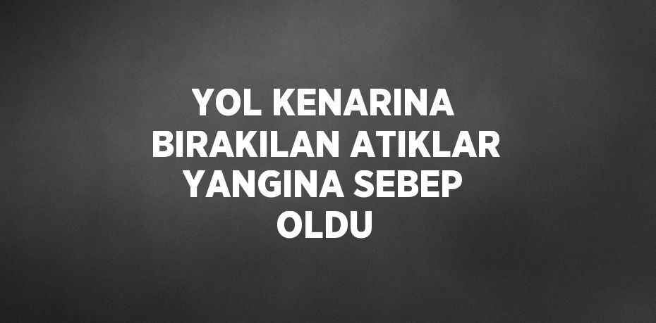 YOL KENARINA BIRAKILAN ATIKLAR YANGINA SEBEP OLDU