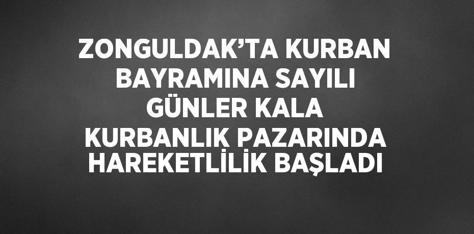 ZONGULDAK’TA KURBAN BAYRAMINA SAYILI GÜNLER KALA KURBANLIK PAZARINDA HAREKETLİLİK BAŞLADI