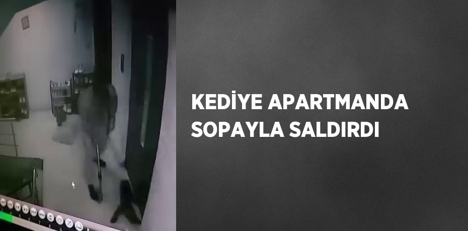 KEDİYE APARTMANDA SOPAYLA SALDIRDI