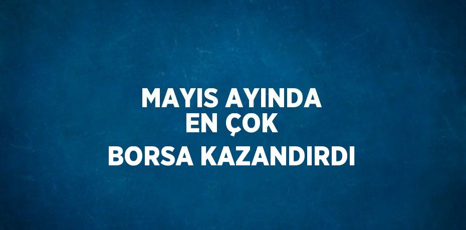 MAYIS AYINDA EN ÇOK BORSA KAZANDIRDI