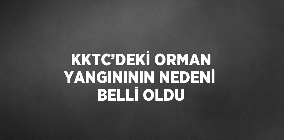 KKTC’DEKİ ORMAN YANGINININ NEDENİ BELLİ OLDU